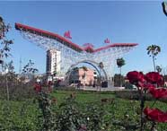 岐山天气预报15天