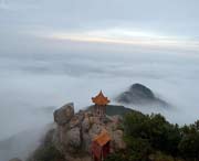 临朐天气预报10天