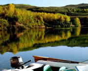 渭源天气预报15天