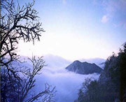 峨边天气预报7天